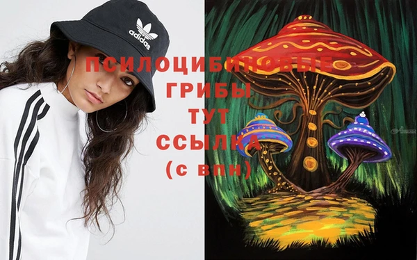 каннабис Алексеевка