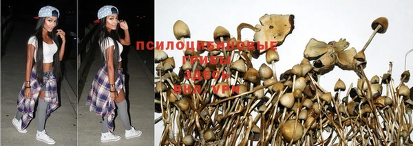 кокаин премиум Алзамай