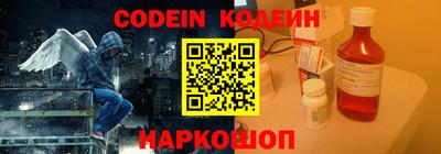 амф Камень-на-Оби