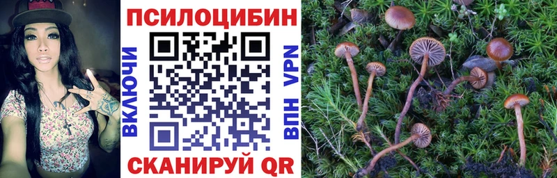 Псилоцибиновые грибы MAGIC MUSHROOMS  mega онион  Аша 
