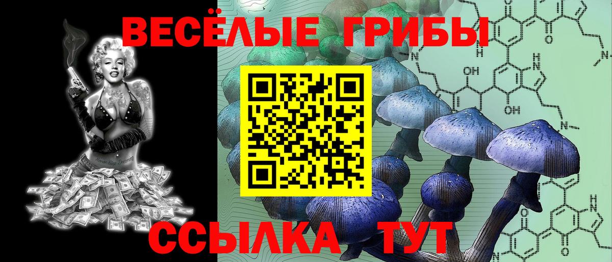 Псилоцибиновые грибы ЛСД  Вход с VPN  купить закладку  Аша 